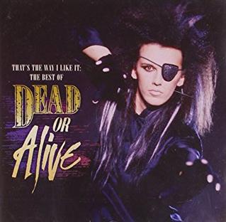 that's the way i like it the best of dead or alive album cover